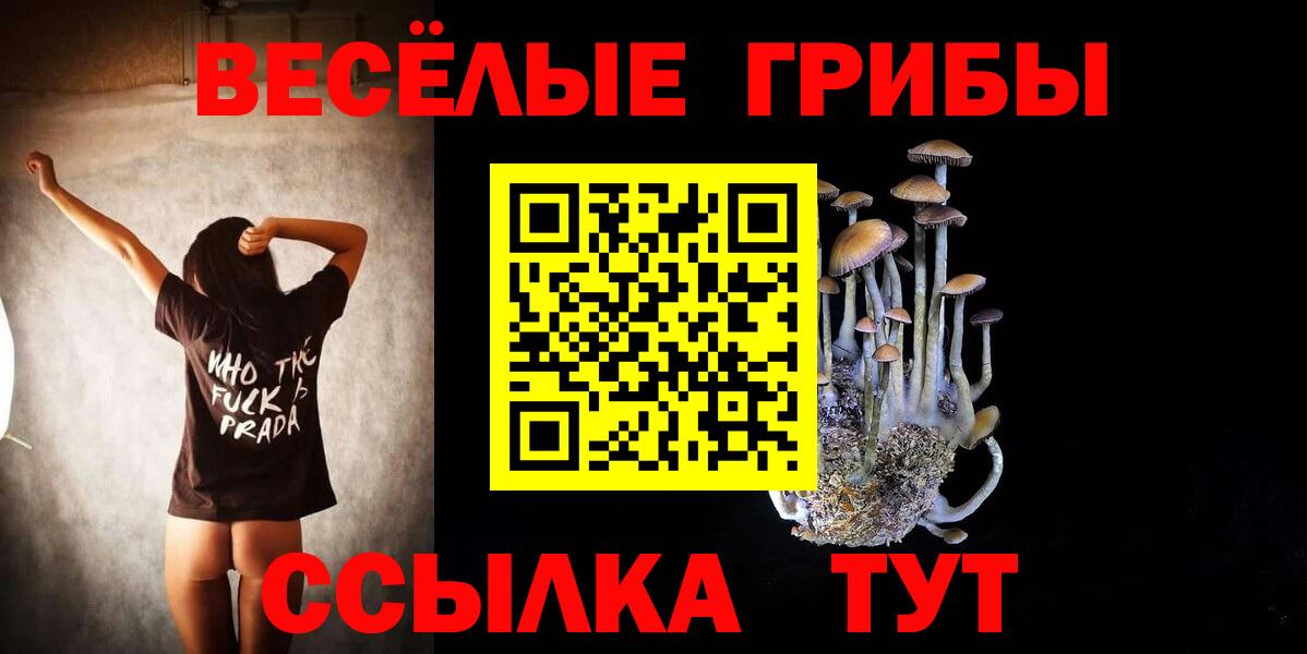 Галлюциногенные грибы прущие грибы  Псилоцибиновые грибы мицелий  Киров  Вход с VPN 