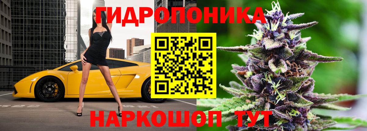 Киров  Бошки Шишки семена  Конопля White Widow  Вход с VPN 